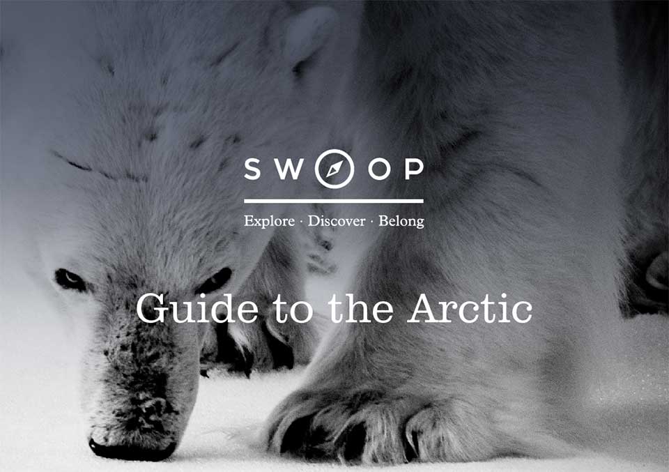 Swoop Arctic Guide cover