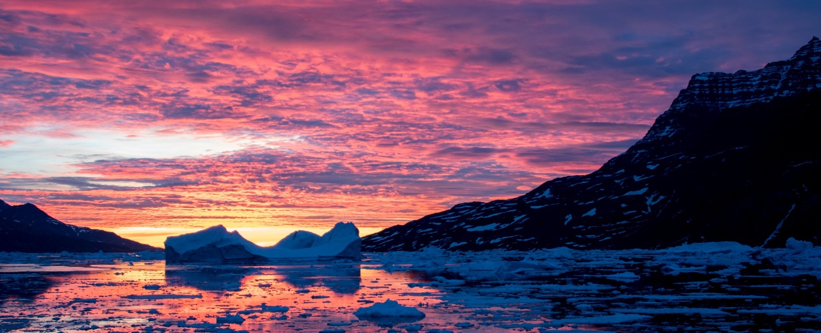 When is the best time to travel to the Arctic?